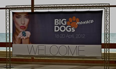 Welcome sign